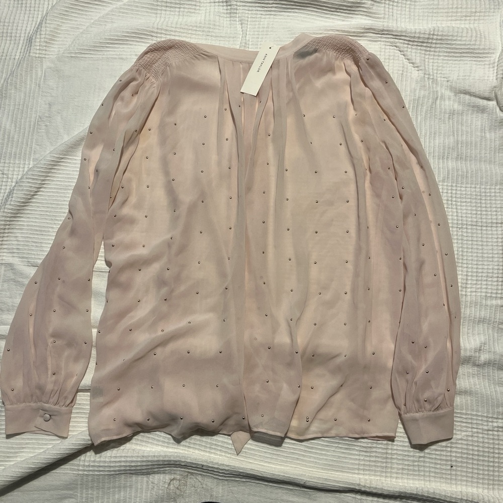Ann Taylor pink sheer blouse